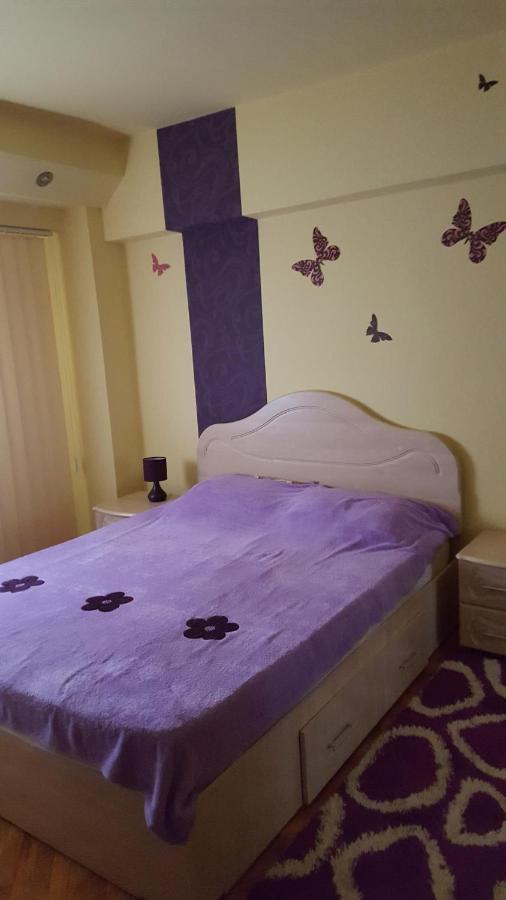 Apartament Cu 2 Camere Spatioase In Centrul Orasului - Andrei Brăila المظهر الخارجي الصورة